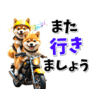 ツーリング♡バイク好き 豆柴 (春夏)（個別スタンプ：31）