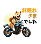 ツーリング♡バイク好き 豆柴 (春夏)（個別スタンプ：32）
