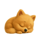 ポメさんとの日々。4（文字なし）（個別スタンプ：7）
