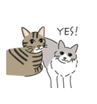 猫の太郎丸とヤマト（個別スタンプ：3）
