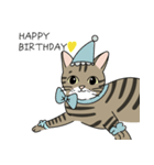 猫の太郎丸とヤマト（個別スタンプ：5）