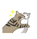 猫の太郎丸とヤマト（個別スタンプ：7）