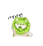 おやさい妖精さん（個別スタンプ：1）
