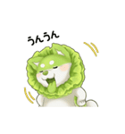 おやさい妖精さん（個別スタンプ：15）