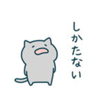こねこのアンブローズ（個別スタンプ：38）
