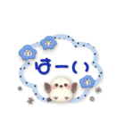 ずっと使える★シマエナガとネモフィラ（個別スタンプ：2）
