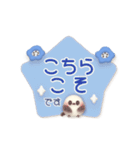 ずっと使える★シマエナガとネモフィラ（個別スタンプ：17）