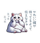 エッホで伝える嫁ねこ【面白い】（個別スタンプ：3）