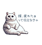 エッホで伝える嫁ねこ【面白い】（個別スタンプ：6）