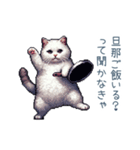 エッホで伝える嫁ねこ【面白い】（個別スタンプ：7）