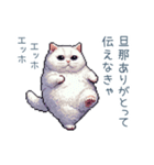 エッホで伝える嫁ねこ【面白い】（個別スタンプ：8）