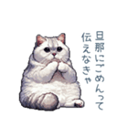 エッホで伝える嫁ねこ【面白い】（個別スタンプ：12）