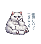 エッホで伝える嫁ねこ【面白い】（個別スタンプ：13）