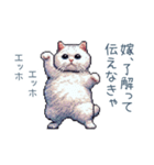 エッホで伝える嫁ねこ【面白い】（個別スタンプ：15）