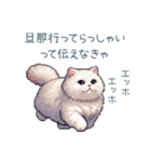 エッホで伝える嫁ねこ【面白い】（個別スタンプ：16）