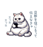 エッホで伝える嫁ねこ【面白い】（個別スタンプ：17）