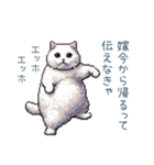 エッホで伝える嫁ねこ【面白い】（個別スタンプ：19）