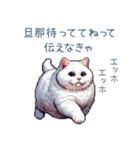 エッホで伝える嫁ねこ【面白い】（個別スタンプ：20）