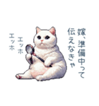 エッホで伝える嫁ねこ【面白い】（個別スタンプ：23）