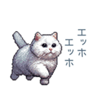 エッホで伝える嫁ねこ【面白い】（個別スタンプ：29）