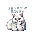 エッホで伝える嫁ねこ【面白い】（個別スタンプ：31）