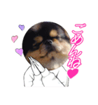 まるたま仲良し。（個別スタンプ：1）
