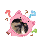 まるたま仲良し。（個別スタンプ：3）