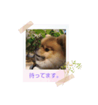 まるたま仲良し。（個別スタンプ：4）