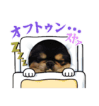 まるたま仲良し。（個別スタンプ：7）