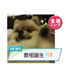 まるたま仲良し。（個別スタンプ：8）
