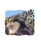まるたま仲良し。（個別スタンプ：10）