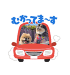まるたま仲良し。（個別スタンプ：11）