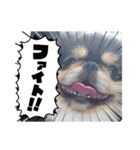まるたま仲良し。（個別スタンプ：12）