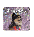 まるたま仲良し。（個別スタンプ：16）