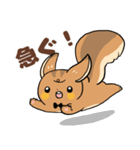 にこやかなリス 文字あり（個別スタンプ：28）