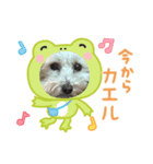 うちのしどくん（個別スタンプ：1）