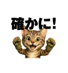 猫の格闘家（個別スタンプ：2）