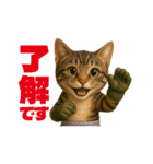 猫の格闘家（個別スタンプ：14）