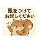 ふんわりエゾリスの敬語スタンプ（個別スタンプ：8）