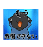 黒猫のフォトジェニック（個別スタンプ：5）
