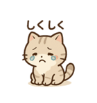 ゆるっと甘えんぼアメショ猫（個別スタンプ：3）