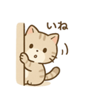 ゆるっと甘えんぼアメショ猫（個別スタンプ：13）