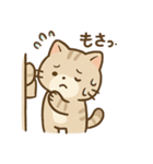 ゆるっと甘えんぼアメショ猫（個別スタンプ：14）
