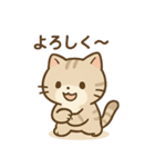 ゆるっと甘えんぼアメショ猫（個別スタンプ：23）