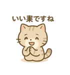 ゆるっと甘えんぼアメショ猫（個別スタンプ：28）