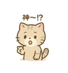 ゆるっと甘えんぼアメショ猫（個別スタンプ：31）