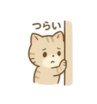 ゆるっと甘えんぼアメショ猫（個別スタンプ：34）