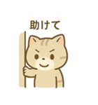ゆるっと甘えんぼアメショ猫（個別スタンプ：38）