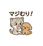 スコ姫の日常（個別スタンプ：8）
