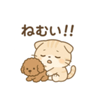 スコ姫の日常（個別スタンプ：16）